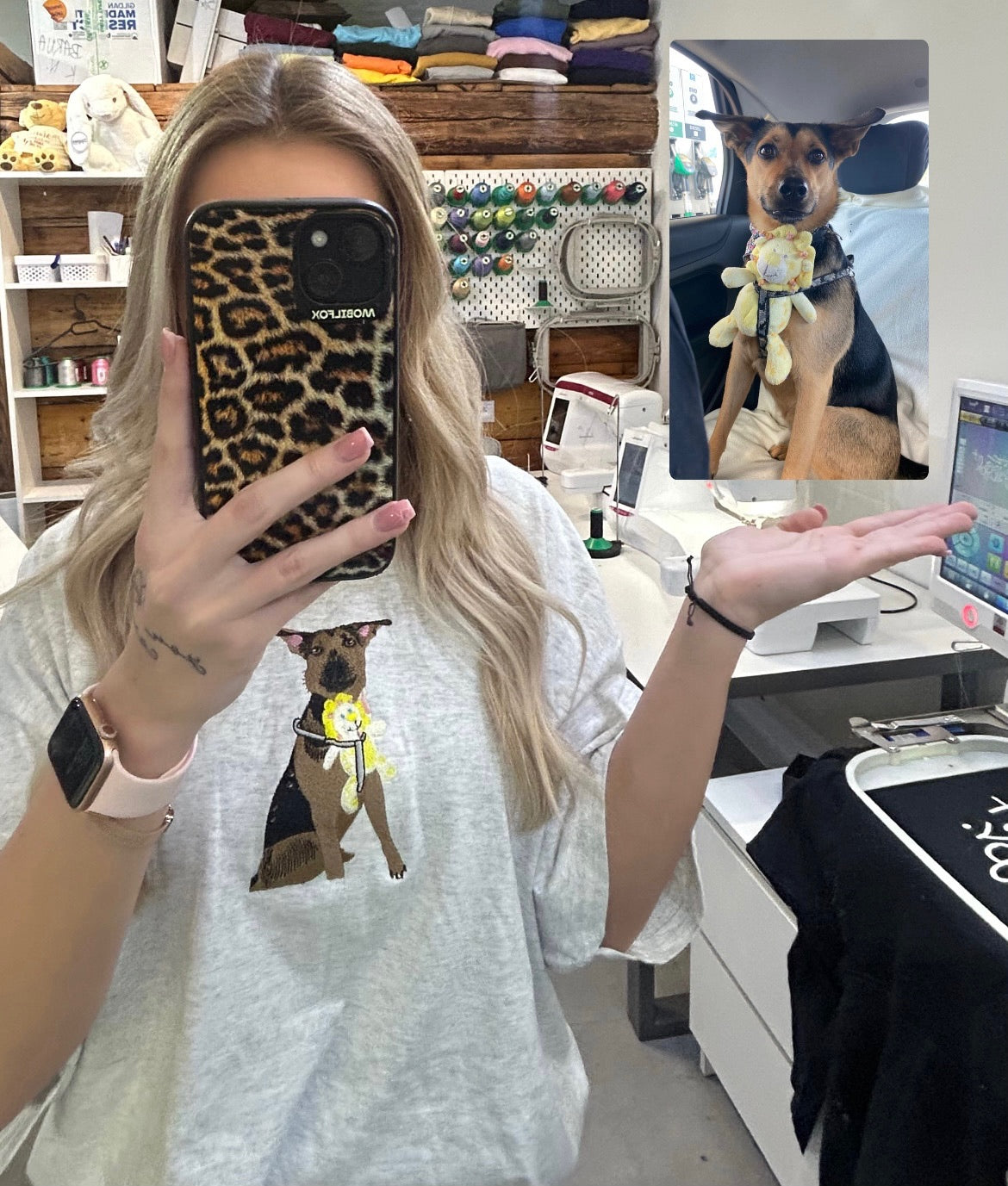 Kisállat - Színesen