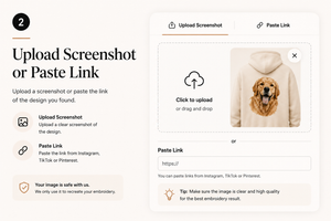 Upload Screenshot or Paste Link
