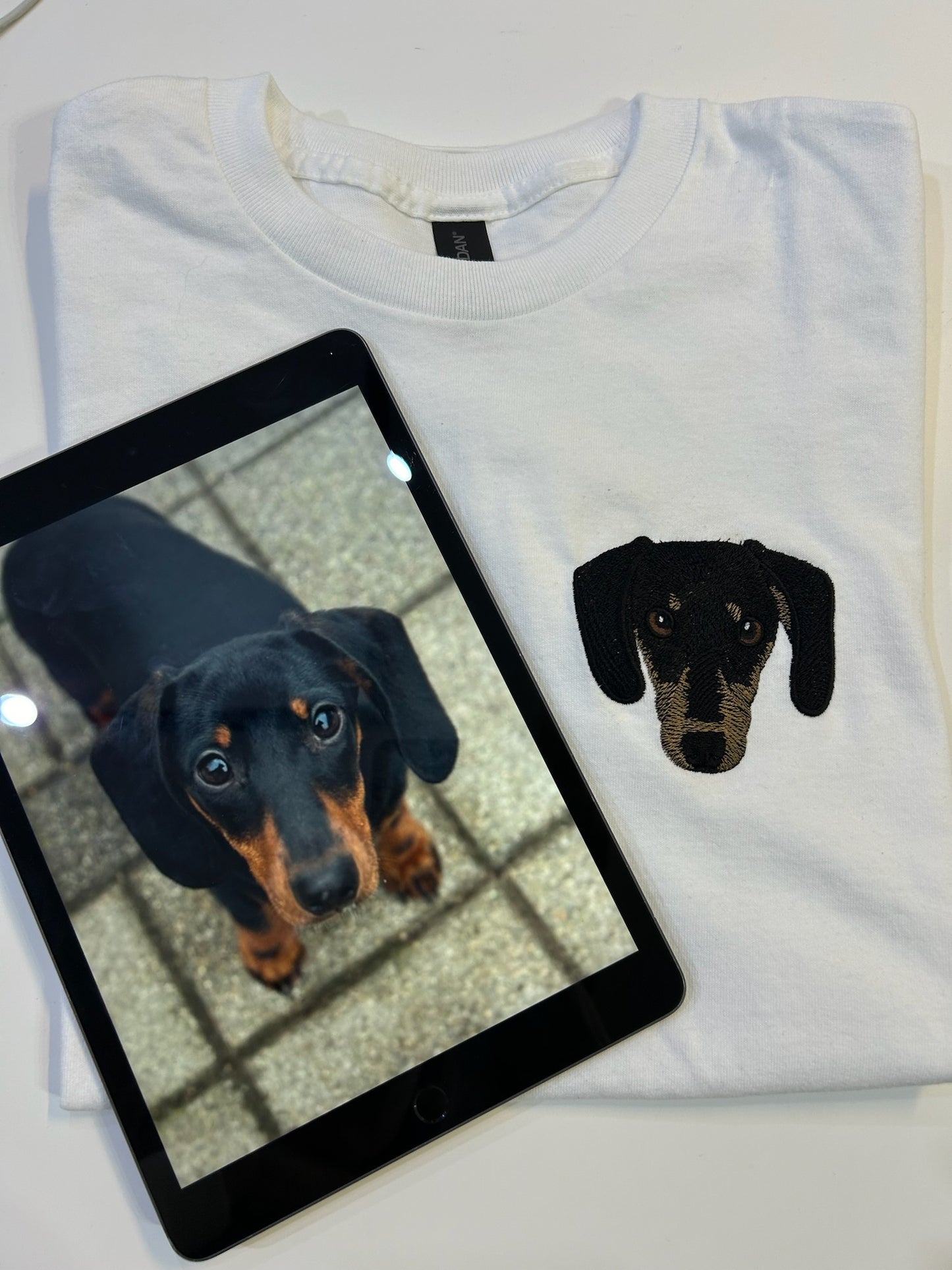 Kisállat - Színesen