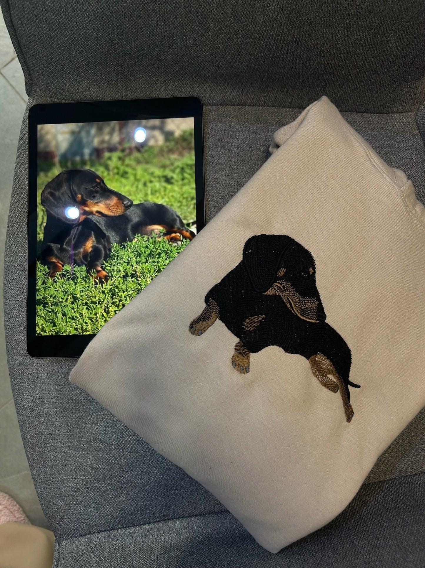 Kisállat - Színesen